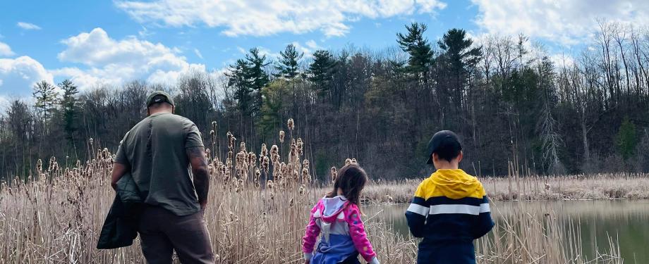 Read more about the article Gatineau – Old Post